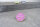 Emaille-Pin "Is it Friday yet?" Sprechblase Pink & Gold | Anstecker