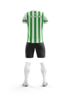 Dein Team Trikot | Individualisiert | Streifen vertikal